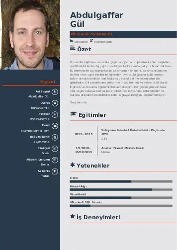 Bilgisayar Programcısı CV Örnekleri cv indir